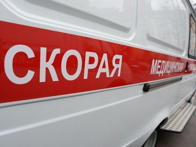 Бастрыкин заинтересовался медиками, не оказавшими помощь жителям Романовки