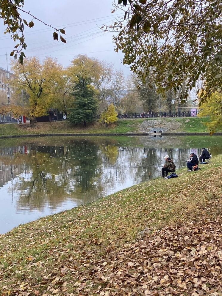Метеоролог Шувалов: дожди придут в столицу с пятницы и останутся на все выходные