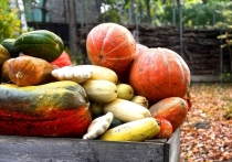 В зоосаде «Приамурский» имени В