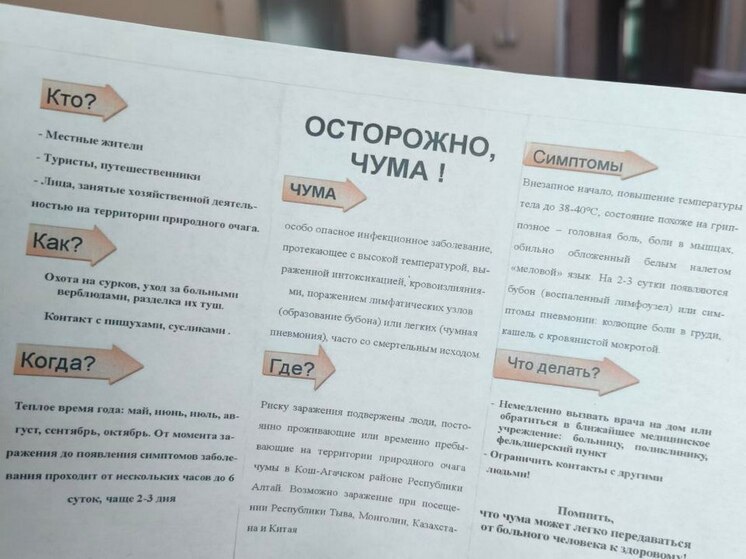 В Монголии в сентябре отмечены 13 случаев бубонной чумы