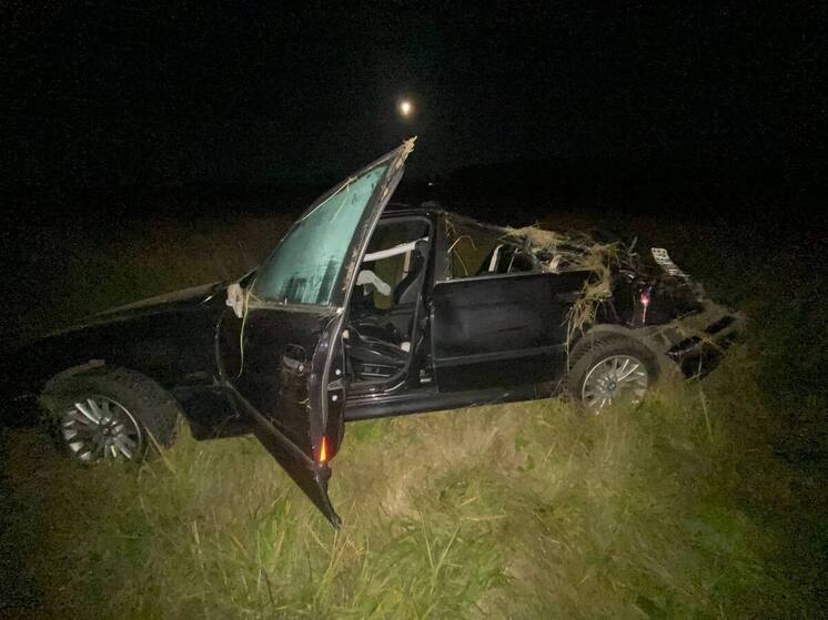 Водитель «БМВ» переломал ребра после падения в кювет в Новгородском округе