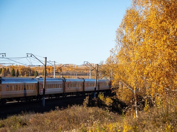 16 школьников с поезда в Самаре госпитализированы с острым гастроэнтеритом