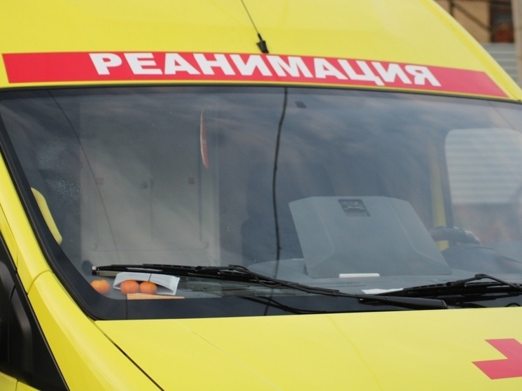 Тело мужчины обнаружено на трассе М2 возле заправки в Щекинском районе