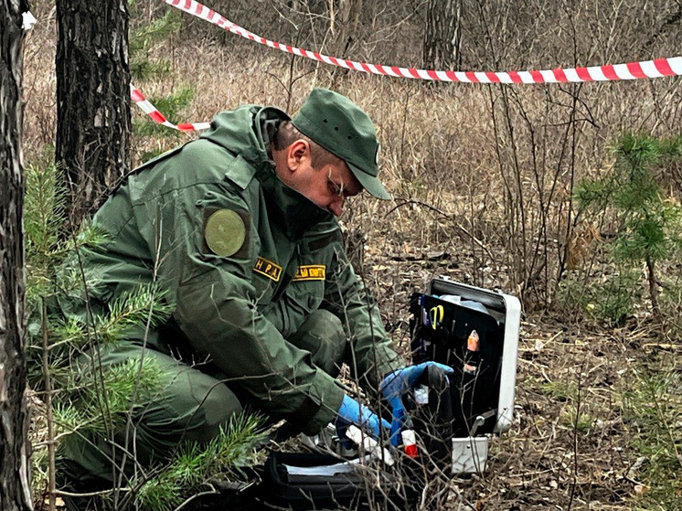 Липчане на собственном участке обнаружили человеческие останки
