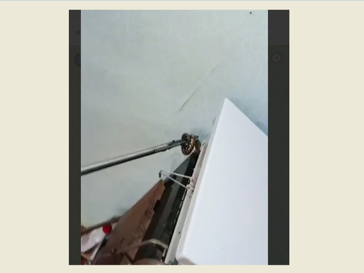 Спасатели достали змею из газовой плиты в доме ставропольской пенсионерки