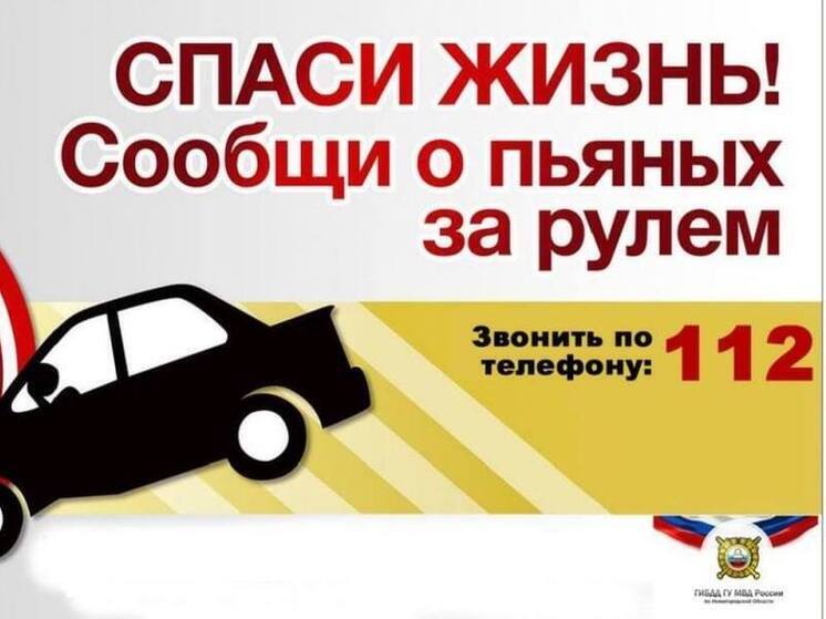 Нижегородцы на 2 месте по числу ДТП с участием пьяных водителей