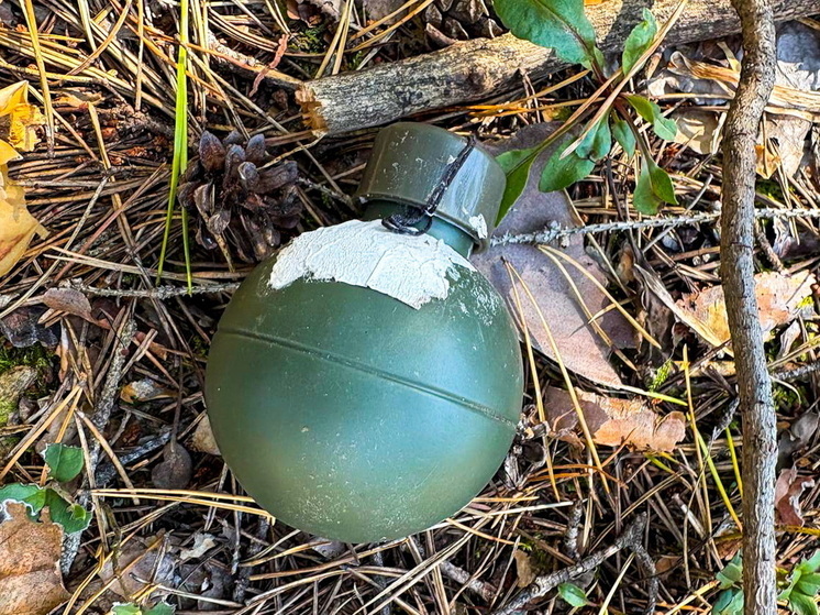 У деревни Марий Эл нашли предмет, похожий на боеприпас