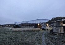 В тайге Красноярского края уже неделю продолжается поиск семьи Усольцевых с пятилетним ребенком, пропавших 28 сентября