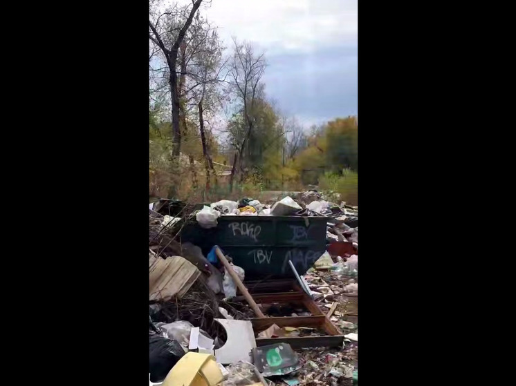 Воронежцы пожаловались на огромную свалку на улице Солнечной