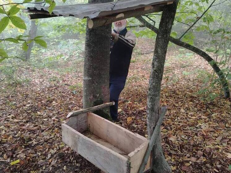 В лесах Ингушетии оборудуют новые подкормочные площадки для диких животных