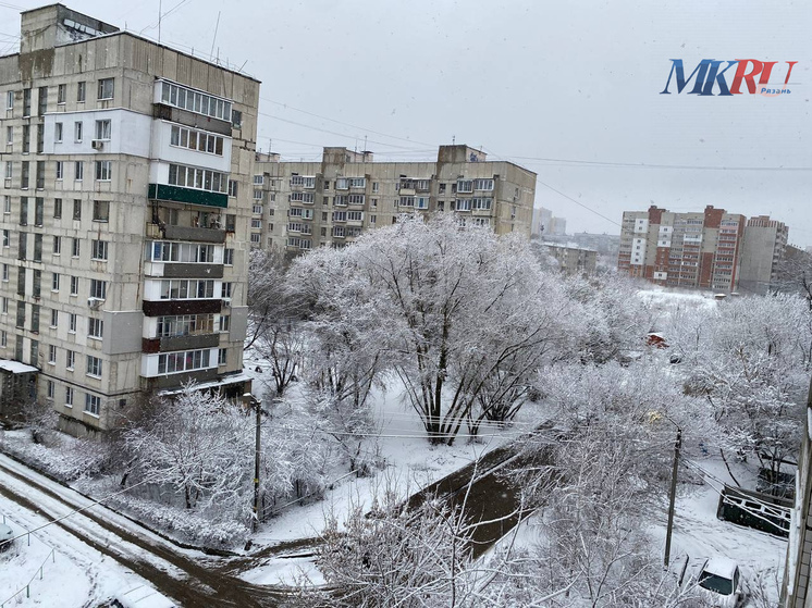 Синоптик предупредил рязанцев о морозах в начале 2026 года