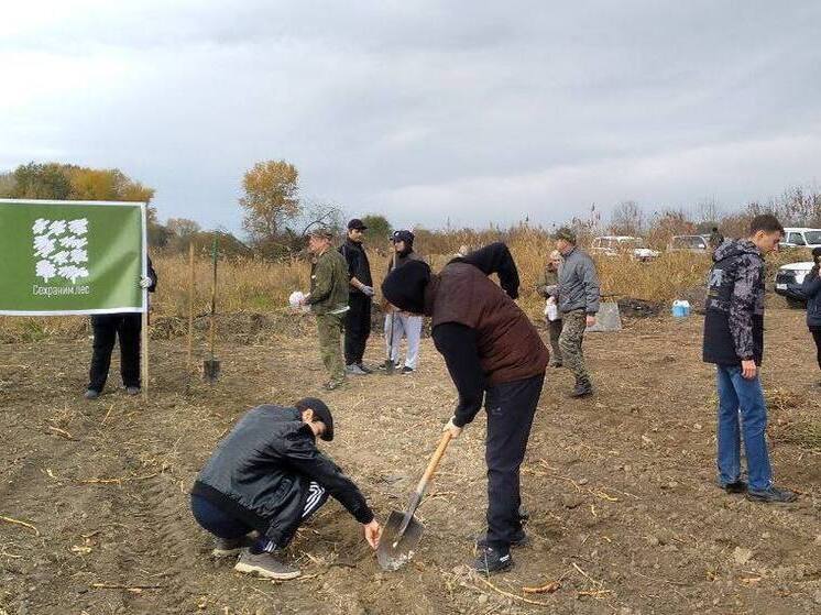 В Северной Осетии высадили тысячу дубов в память о Битве за Кавказ