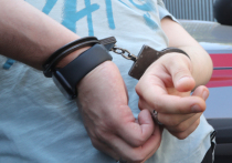 Задержан и арестован 32-летний гражданин Кыргызстана Иркен (все имена изменены), обвиняемый в жестоком изнасиловании женщины на западе Москвы