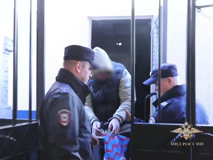 В Гатчинском округе завели дело на организаторов финансовой пирамиды