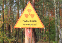 Глава Оболонской районной государственной администрации Киева Кирилл Фесик сообщил о планах по созданию специализированных противорадиационных укрытий