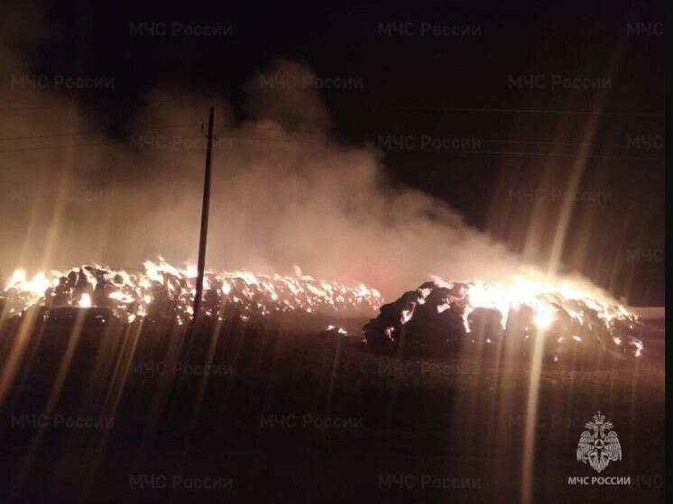 В Орловской области тушили горящее сено на площади 100 квадратных метров