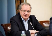Глава Совета по правам человека при президенте России Валерий Фадеев сейчас один из главных ньюсмейкеров по будоражащей общество теме — нелегальной миграции