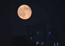 10 октября 2025 года Луна находится в убывающей фазе в знаке Тельца, что привносит энергию стабильности, практичности и тягу к комфорту. Это время подходит для дел, требующих терпения, сосредоточенности и заботы о материальном благополучии. Однако излишняя медлительность или упрямство могут помешать прогрессу. Энергия дня побуждает к созданию уюта, наслаждению простыми удовольствиями и укреплению основ в разных сферах жизни.