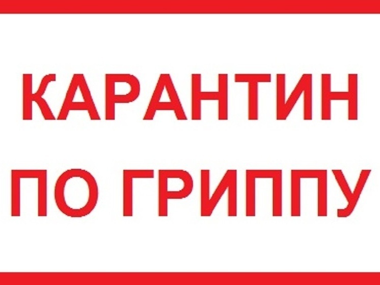 В нижегородских школах продолжают вводить карантин по гриппу