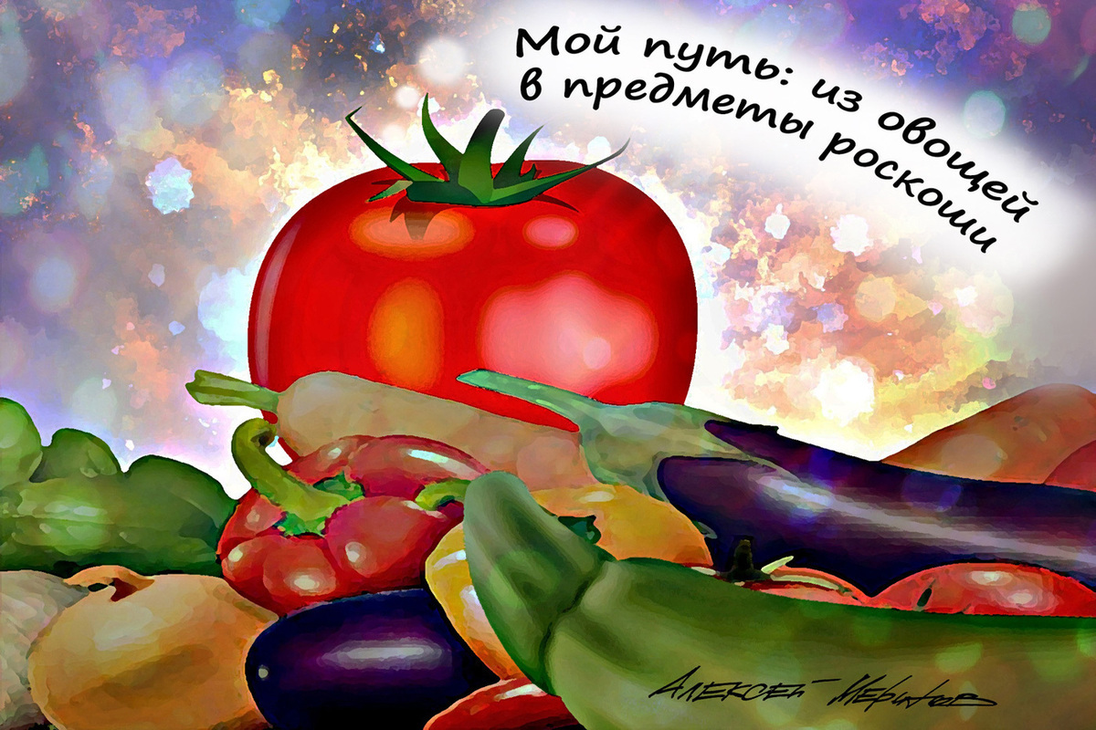 Помидоры дорожают ударными темпами: 90 рублей за кило гнилых, 500-700 – качественных