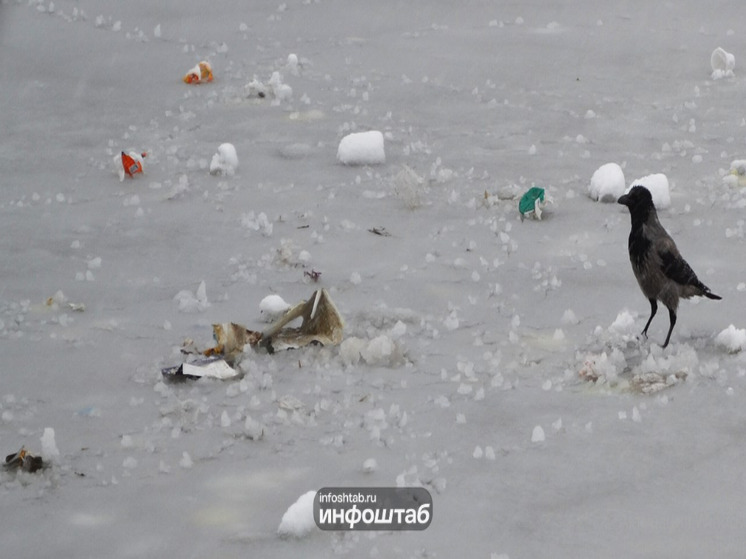 День Савватия Пчельника: что категорически нельзя делать 10 октября, чтобы год был сладким, как мед
