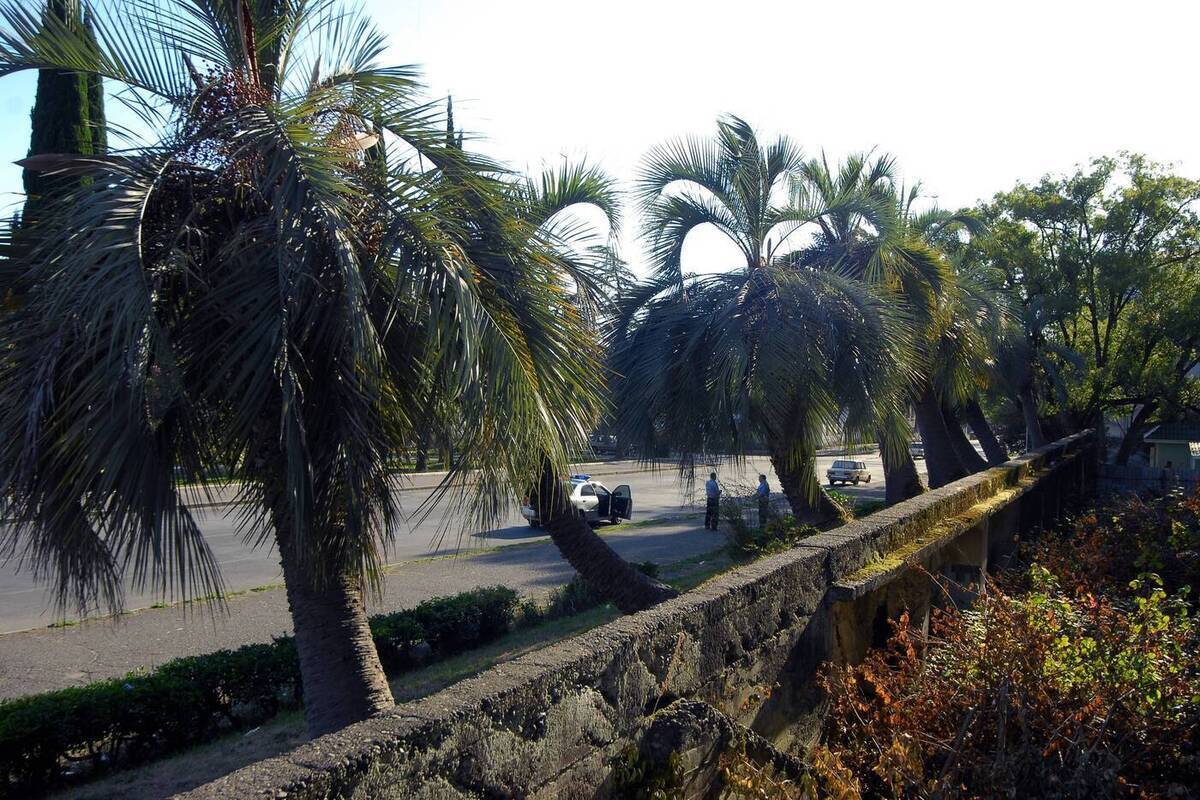 В горах Абхазии автобус с туристами съехал с дороги, погиб человек