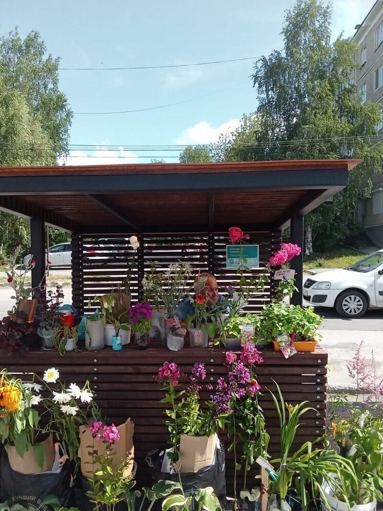 В муниципалитетах Прикамья по проекту «Комфортный край» обустроили торговые прилавки
