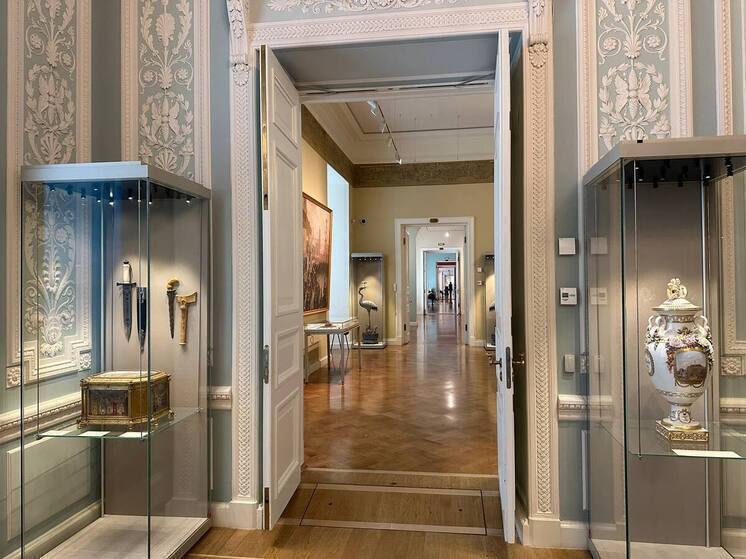 Эрмитаж определил правила передачи музейных котов в семьи