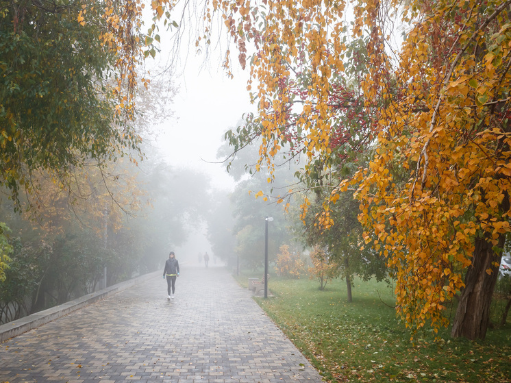 В Волгоградскую область на несколько дней придут дожди