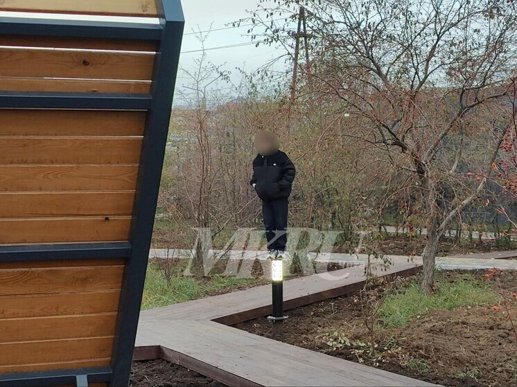 Подросток залез на светильник во время открытия парка МЖК в Чите