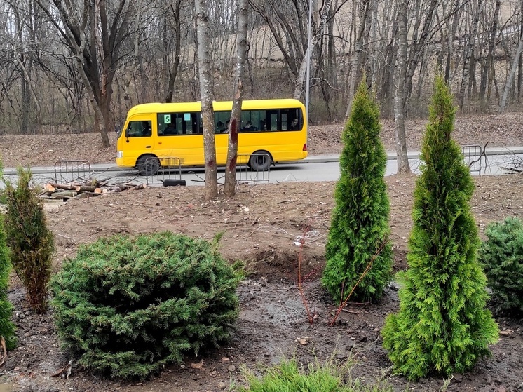 В Северной Осетии повысят эффективность общественного транспорта