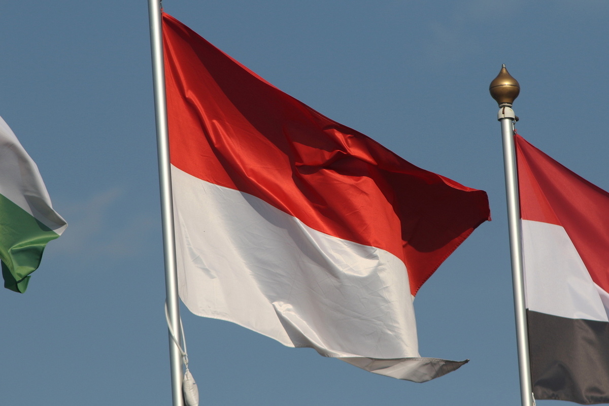 Раскрыта причина отказа Индонезии в визах израильским гимнастам