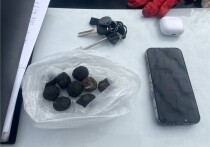 Полиция пресекла деятельность организованной группы, занимавшейся распространением синтетических наркотиков в Красноярске