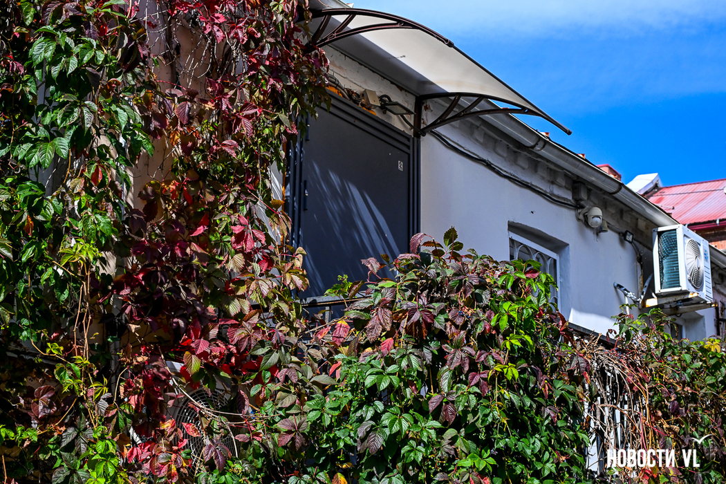 Красота Владивостока: фото, которые дышат осенью