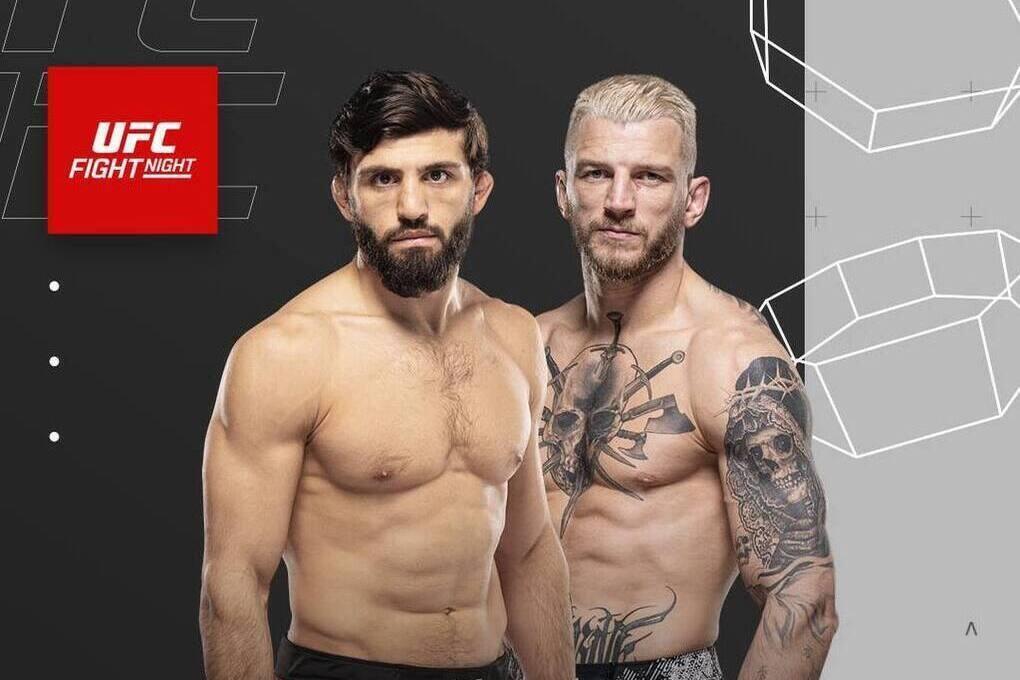 Бойцы подерутся 22 ноября