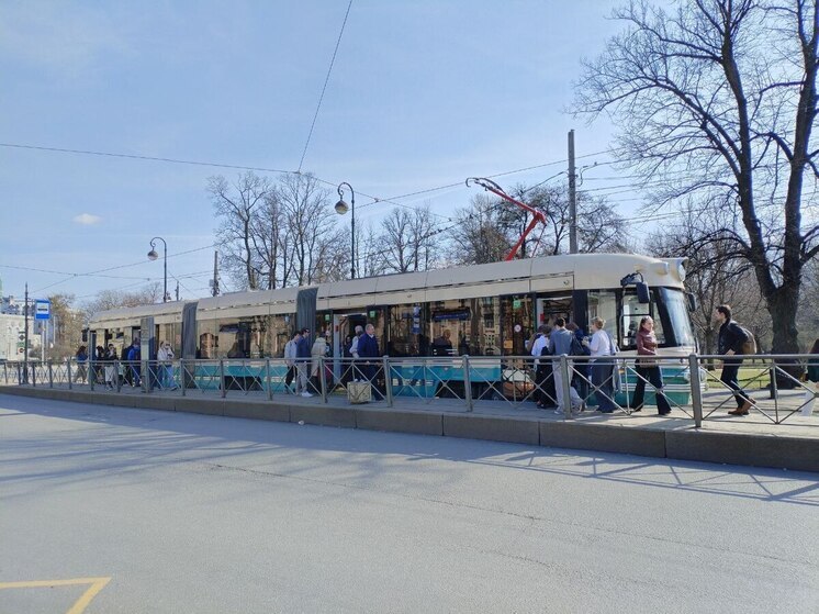 Петербург получил более 600 единиц транспортной техники с начала года