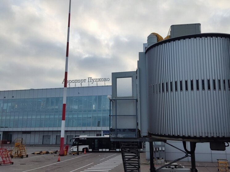  Улететь из Петербурга в Ташкент можно будет с 26 октября