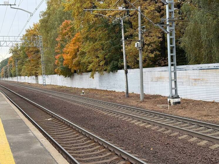 Азартную 15-летнюю «зацепершу» сняли с поезда «Санкт-Петербург – Луга»