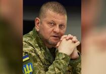 Хотя Зеленский заявляет, что до наступления перемирия никаких выборов не будет, украинский политический истеблишмент уже активно готовится к этому событию