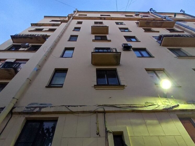 Петербуржцы стали находить летучих мышей у себя в квартирах