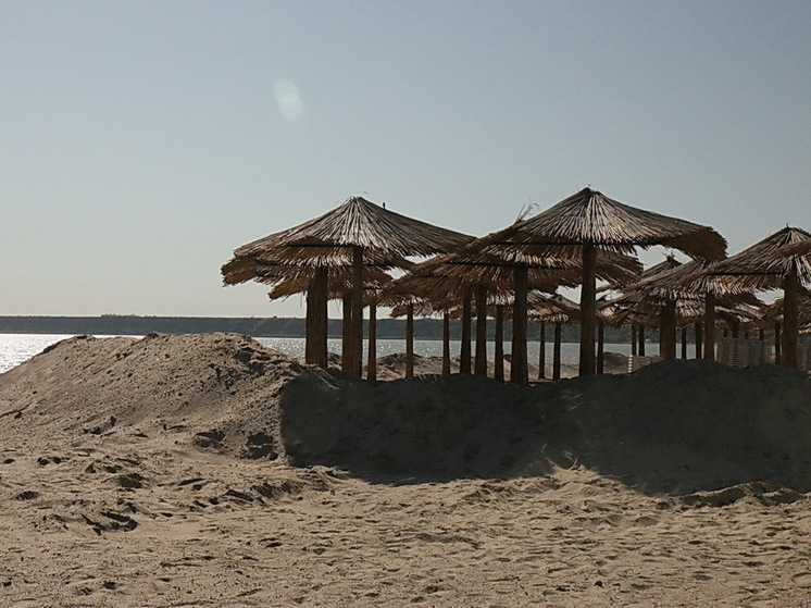 Пара из Москвы продала две квартиры, чтобы открыть ферму каннабиса в Таиланде