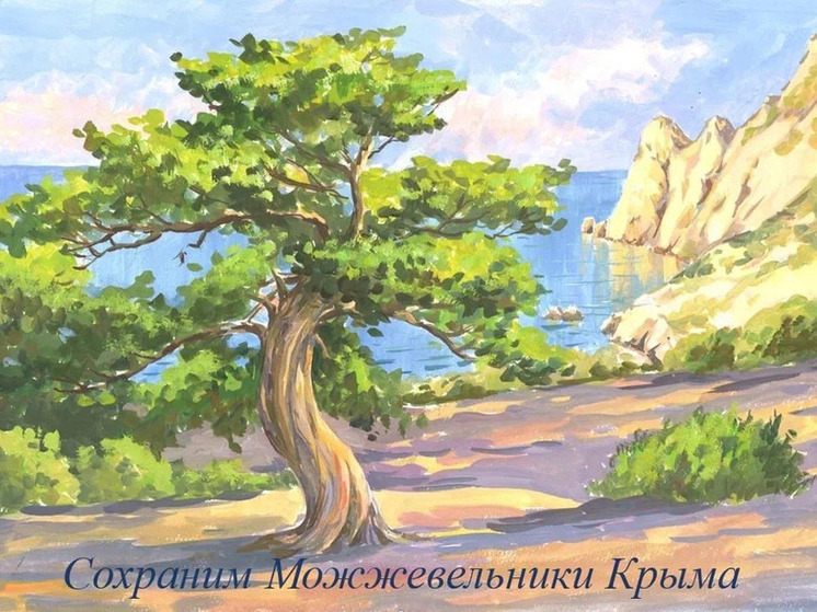 Юные экологи из Крыма выступили в защиту можжевельника