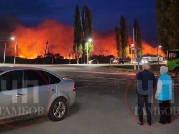 Спасатели предотвратили огненную катастрофу в Жердевке