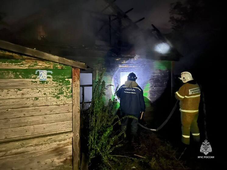 В Ростовской области в пожаре два человека отравились угарным газом