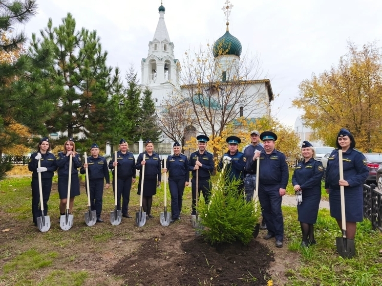 В Ярославле судебные приставы отметили юбилей посадкой деревьев.