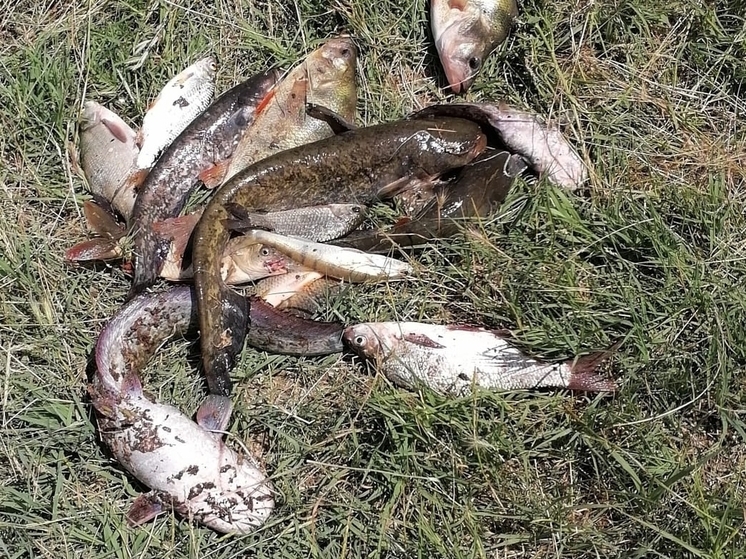 Калужских рыбаков зовут на турнир