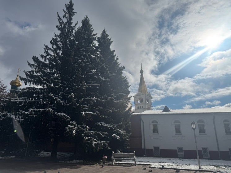 Жителям Новосибирска напомнили о запретах в Покровскую родительскую субботу