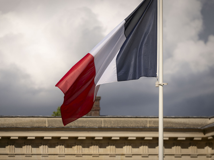 Французские силовые ведомства испытывают трудности с нейтрализацией беспилотников