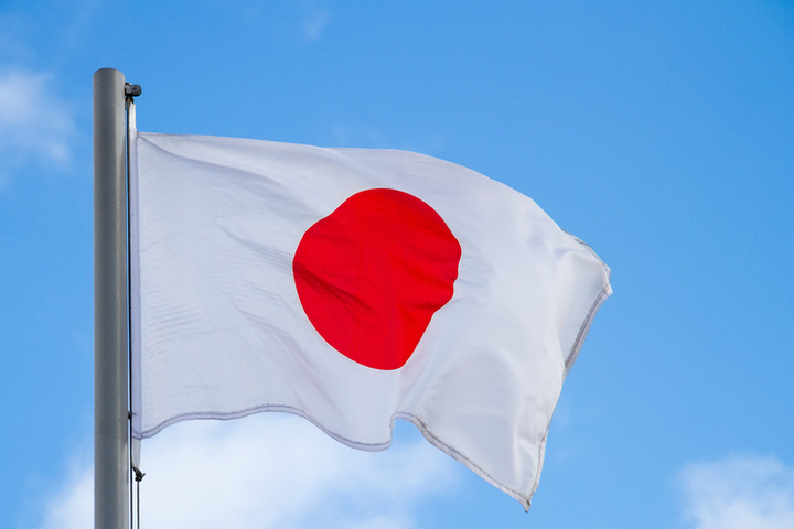 В Японии предупредили о риске смены власти в стране