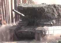 На днях наши военные освободили Нововасилевское в Запорожской области